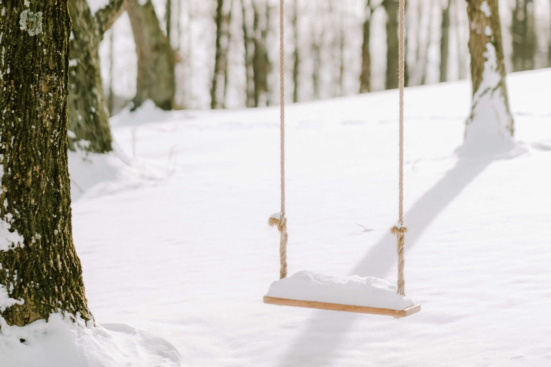 Snowy swing